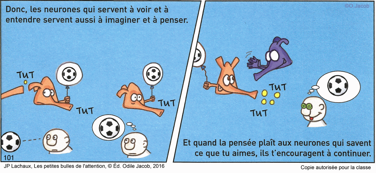 Découvrir le programme ATOLE \